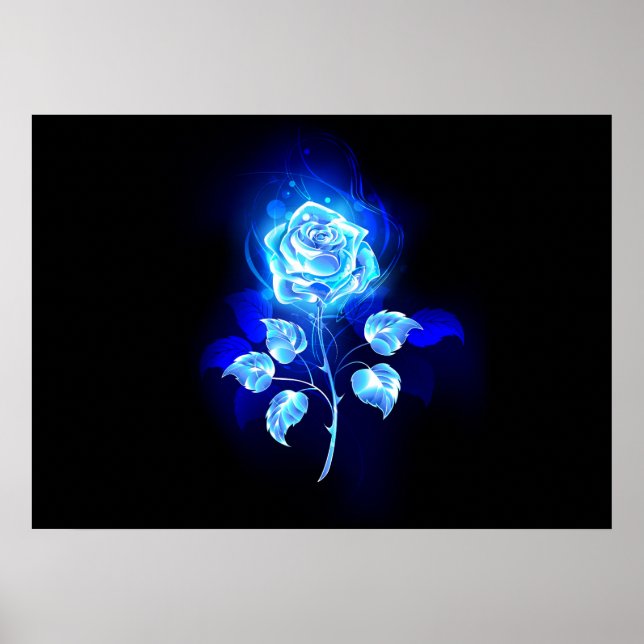 Poster Rose bleu brûlant (Devant)