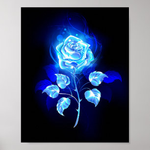 Poster Rose bleu brûlant