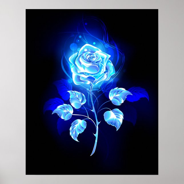 Poster Rose bleu brûlant (Devant)