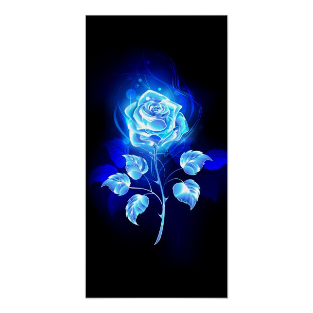 Poster Rose bleu brûlant (Devant)