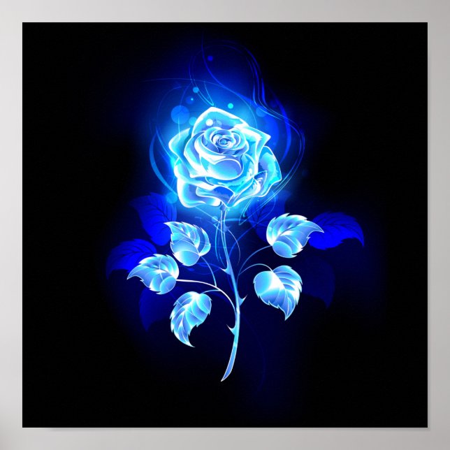 Poster Rose bleu brûlant (Devant)