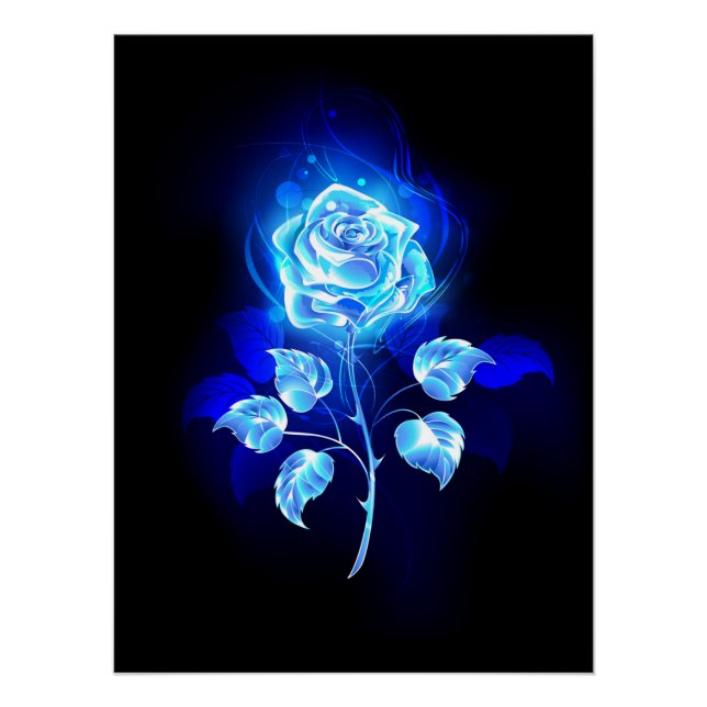 Poster Rose bleu brûlant (Devant)