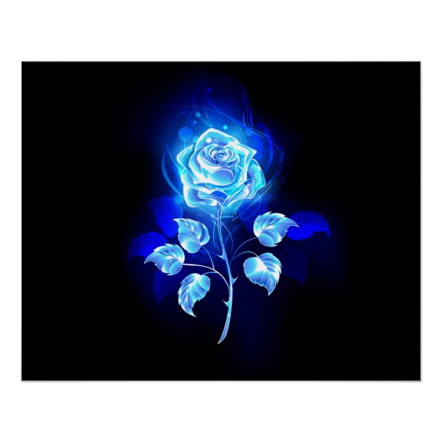 Poster Rose bleu brûlant (Devant)