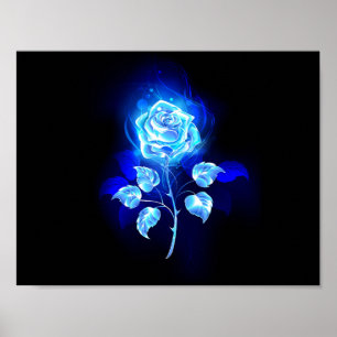 Poster Rose bleu brûlant