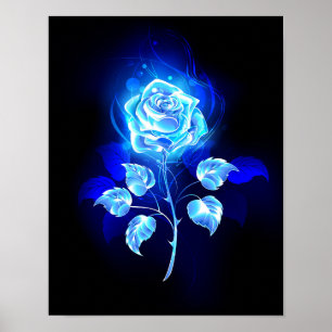 Poster Rose bleu brûlant