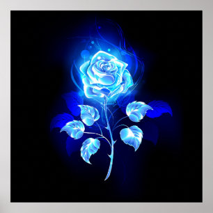 Poster Rose bleu brûlant
