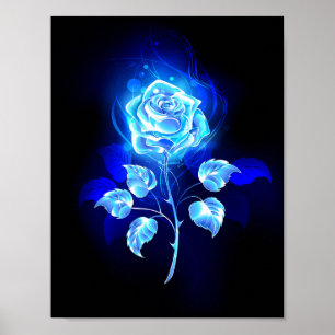 Poster Rose bleu brûlant
