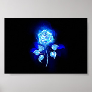 Poster Rose bleu brûlant
