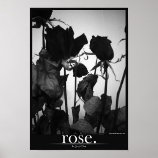 Poster rose [bordure]
