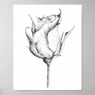 POSTER ROSE BUD
