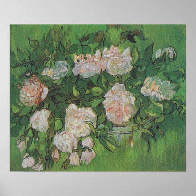 Poster Rose Bush par Vincent Van Gogh (Devant)