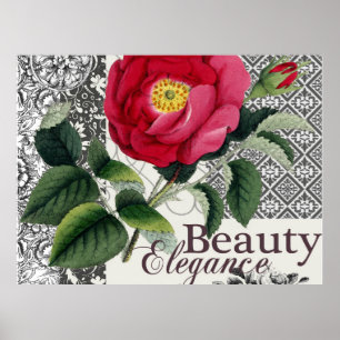 Poster Rose Damask Jolie Florale Antique