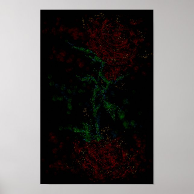 Poster Rose dans le noir (Devant)
