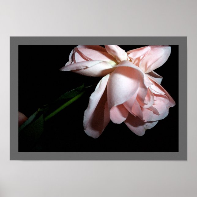 Poster Rose dansant (Devant)