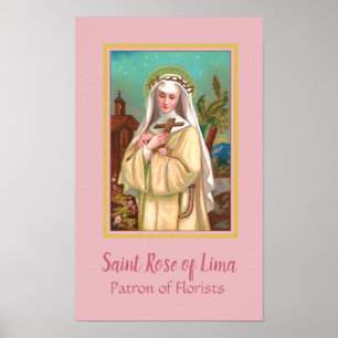 Poster Rose de Lima par nuit (M 024)