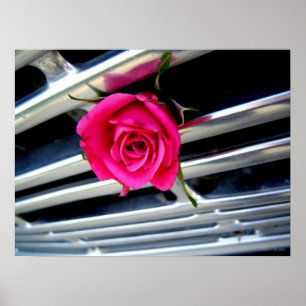 Poster Rose de rose sur l'affiche de gril