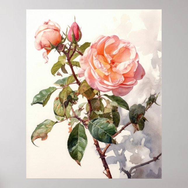 Poster Rose d'Escalades paisible dans l'aquarelle Bloom (Devant)