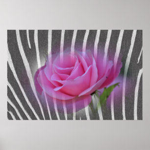 Poster Rose d'impression Zebra
