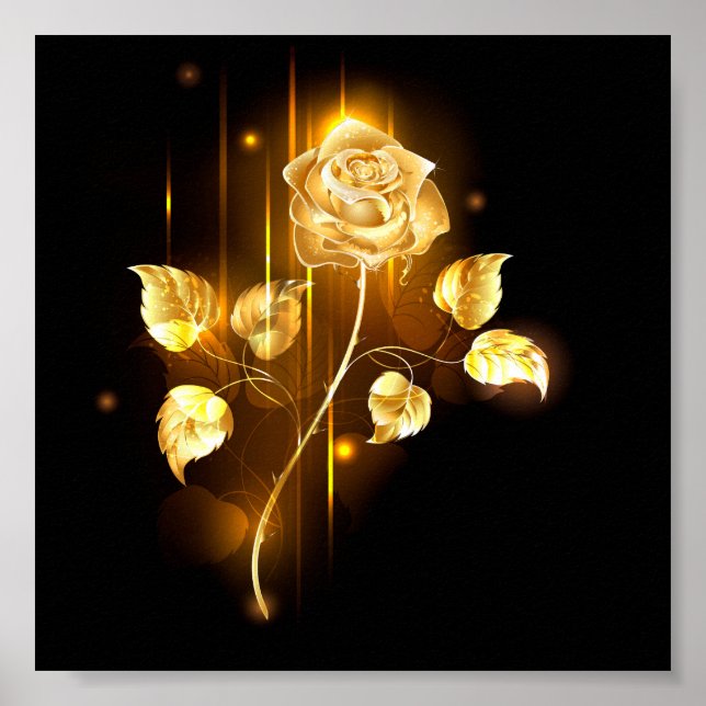 Poster Rose d'or ( rose d'or ) (Devant)
