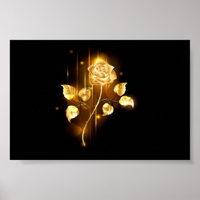 Poster Rose d'or ( rose d'or ) (Devant)