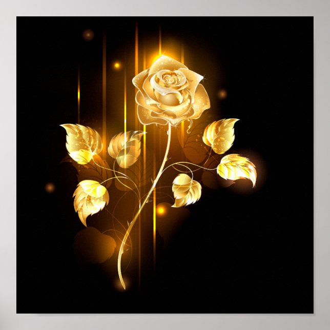 Poster Rose d'or ( rose d'or ) (Devant)