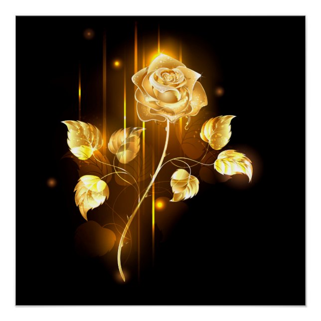 Poster Rose d'or ( rose d'or ) (Devant)
