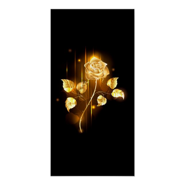 Poster Rose d'or ( rose d'or ) (Devant)
