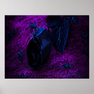 Poster Rose en matériau noir effrayant, araignées noires