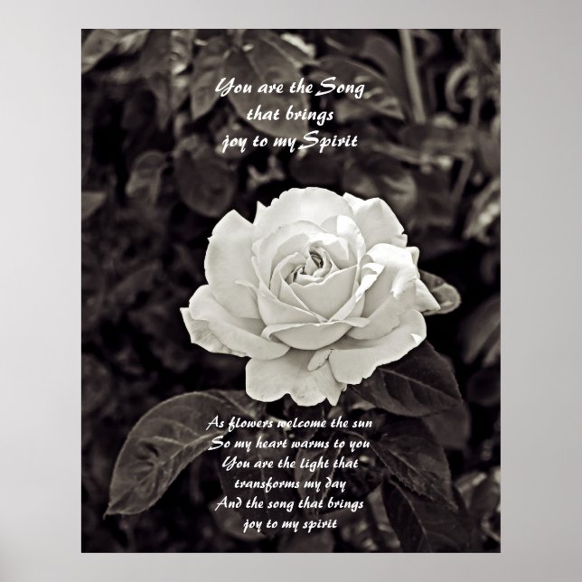 Poster Rose en noir et blanc (Devant)