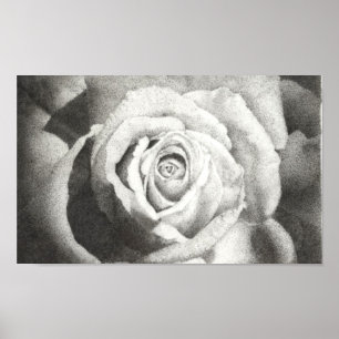 Poster Rose étouffé