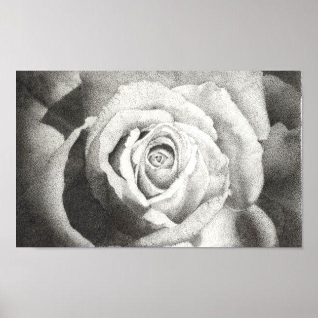 Poster Rose étouffé (Devant)