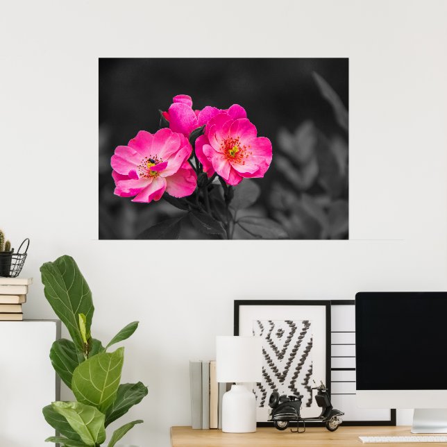 Poster Rose Fleur noir blanc Monochrome (Bureau à domicile)