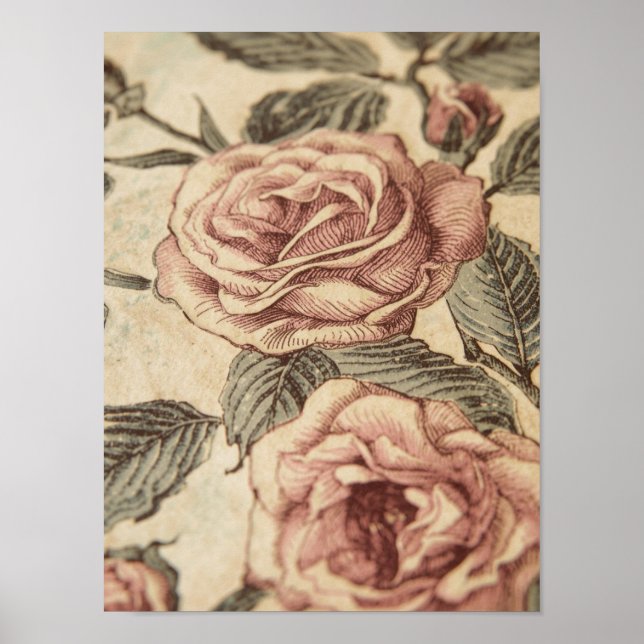 Poster Rose Garden Sketch (Devant)