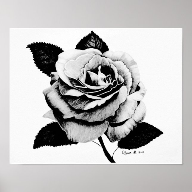 Poster rose gravé 11x14 (Devant)