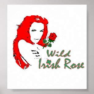 Poster Rose irlandais sauvage