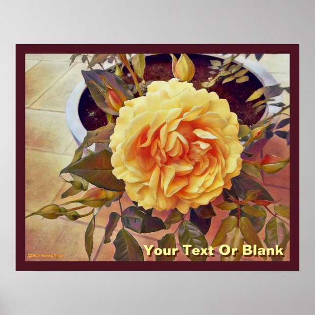 Poster Rose jaune colorée (Devant)