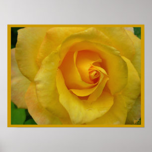 Poster Rose Jaune Imprimer Belle impression Fleur