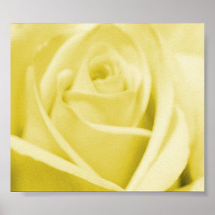 Poster Rose jaune serein - affiche/copie