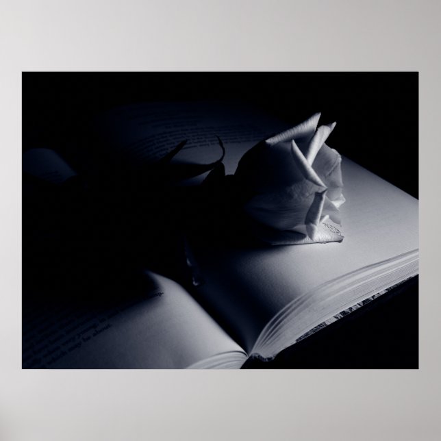 Poster Rose littéraire (Devant)