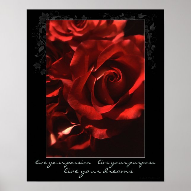 Poster Rose Live Your Passion (Devant)
