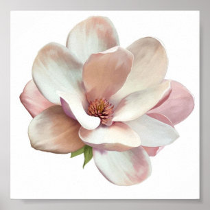 Poster rose magnolia du Sud