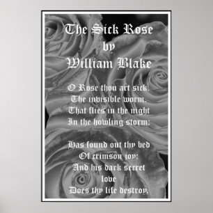 Poster Rose malade, William Blake, Roses gothiques