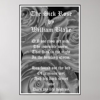 Poster Rose malade, William Blake, Roses gothiques