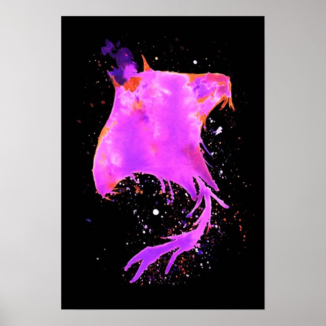 Poster Rose Manta Ray (Devant)