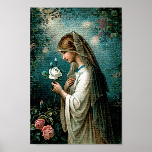 Poster : Rose mystique (Devant)