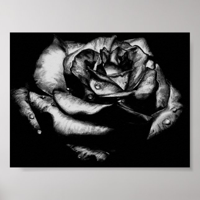 Poster Rose noir (Devant)