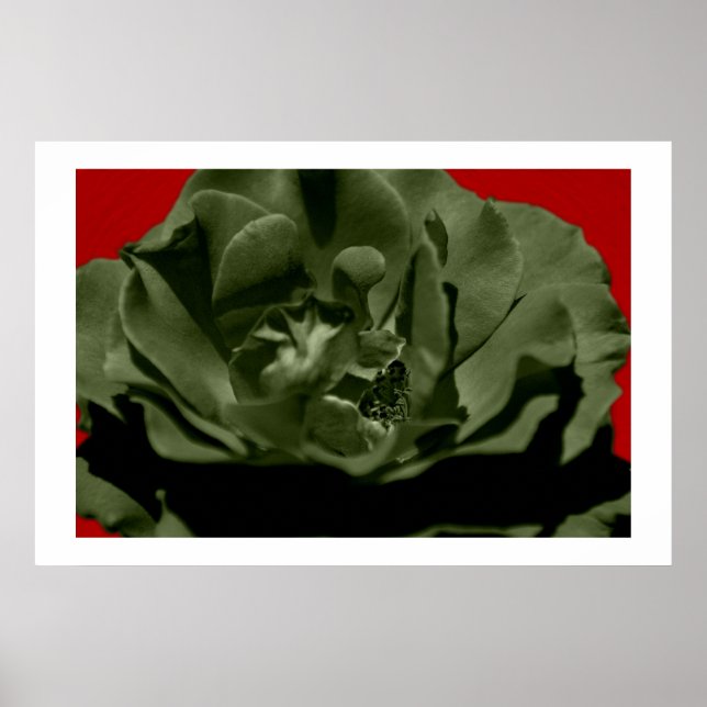 Poster Rose olive avec Arrière - plan texturé Anegelhair  (Devant)