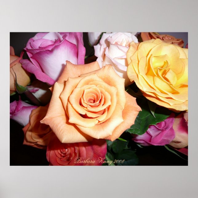 Poster Rose orange (Devant)