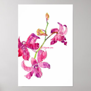 Poster rose Orchidée Baby Floral Sketch Imprimer