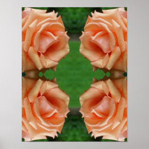 Poster Rose Peach en floraison Abstrait